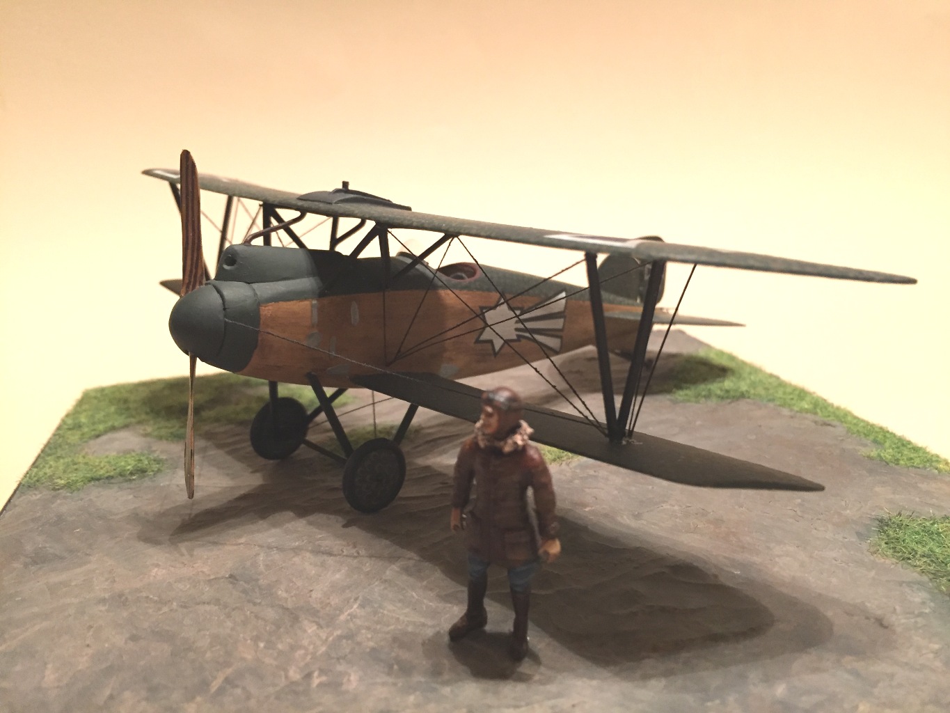 ALBATROS D III  OEFFAG sc.48 (2)