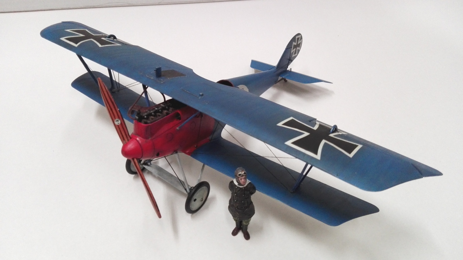 PFALZ D III s.c 1.32 (2)